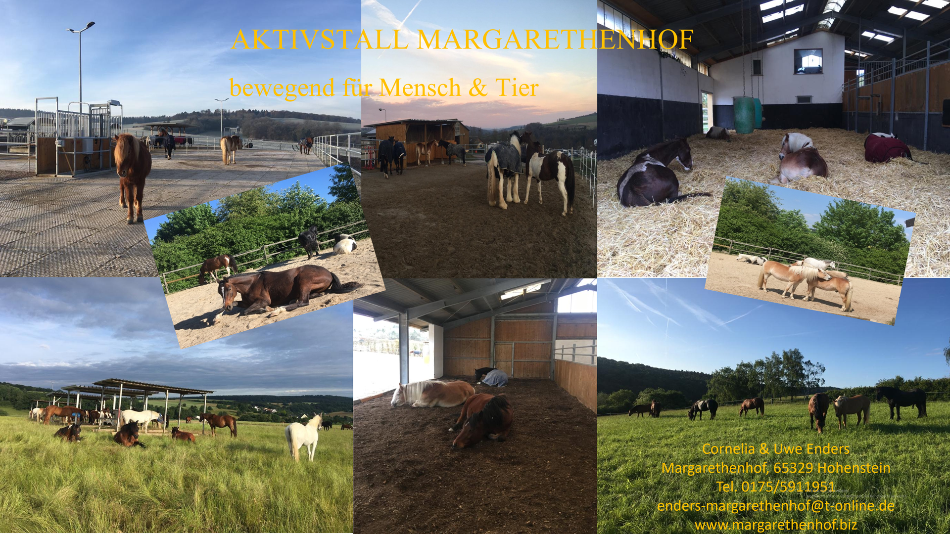 aktivstall_margarethenhof_adresse